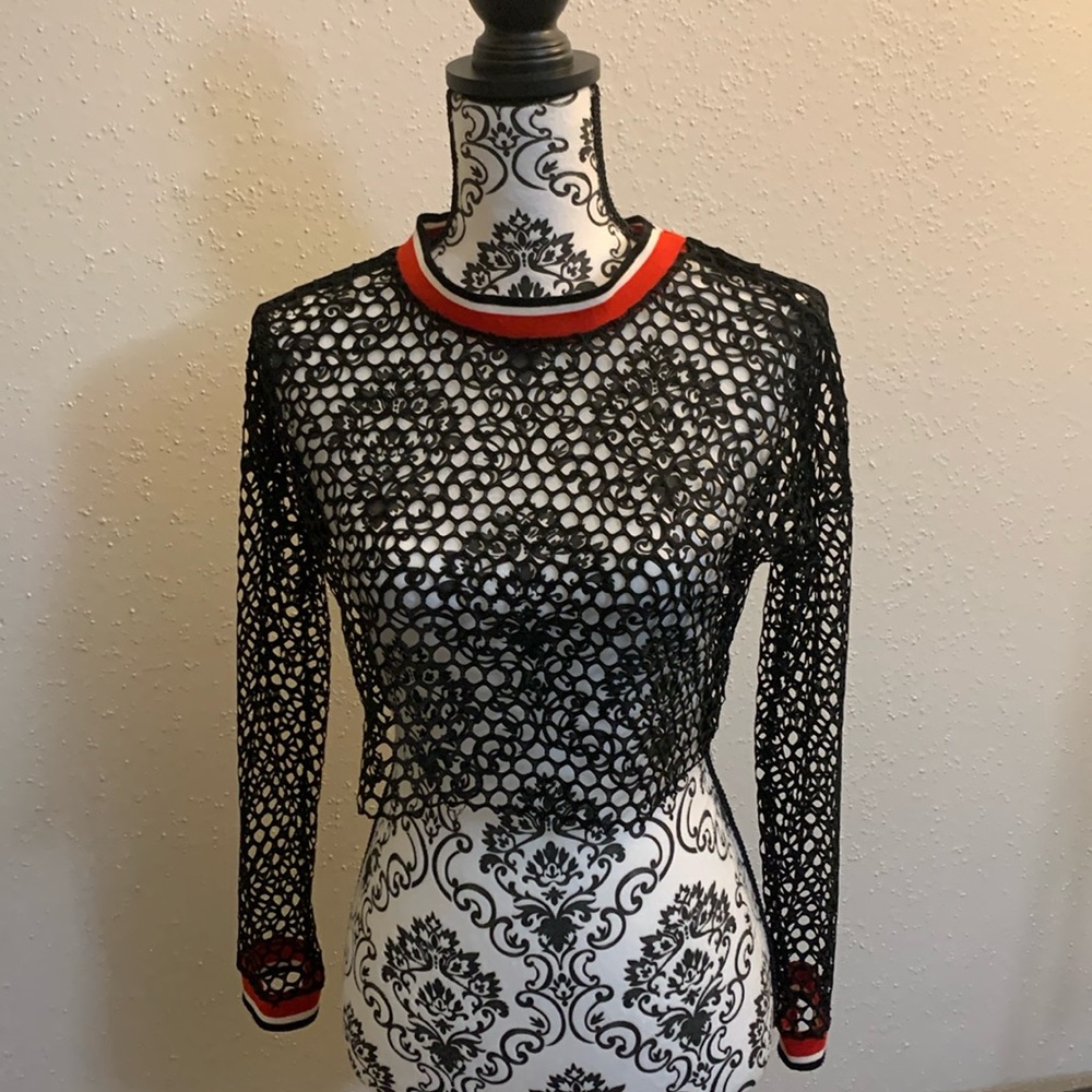 Mesh Top Longsleeve Crop Top